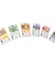 Euro Money Note Set