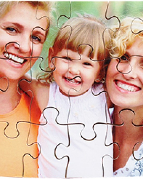 Modern Families Puzzles
