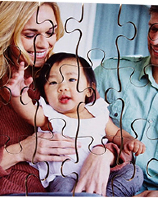 Modern Families Puzzles