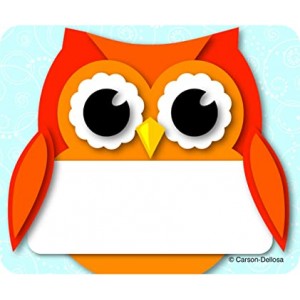 Name Tags - Colorful Owl