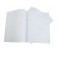 Ruled Foolscap Fly Paper