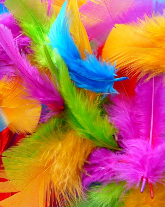 Feathers Coloured