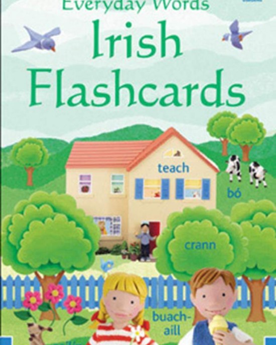 Irish Flash cards - Everyday Words