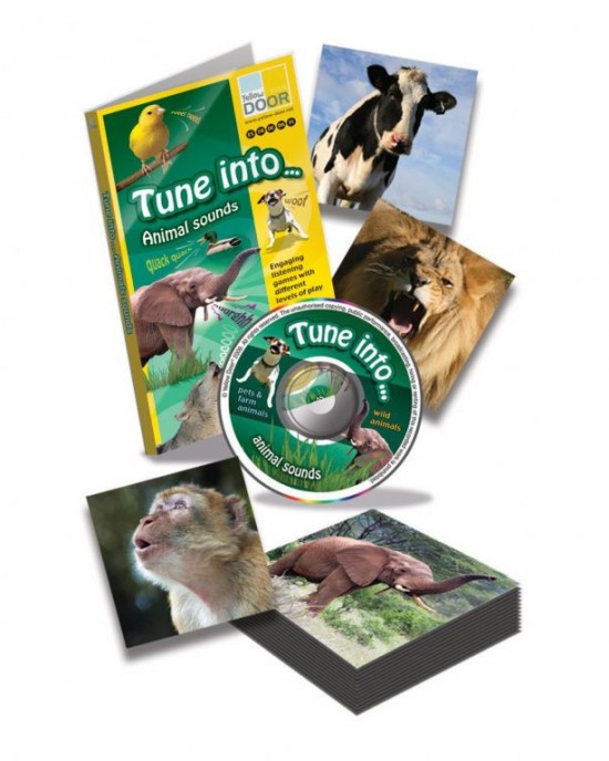 Store　Learning　School　Tune　Sounds　Teacher　Into　The　Ireland　Animal　Supplies　Cork