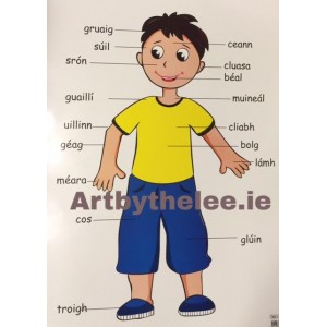 Irish Body Poster(Boy)