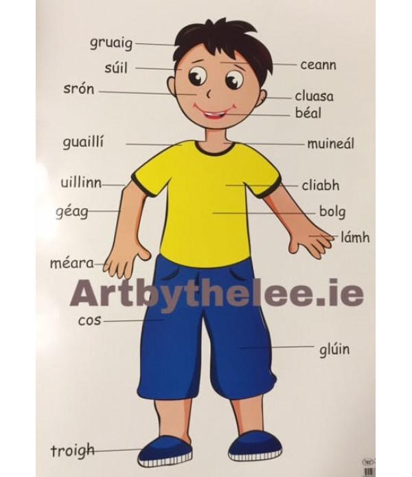 Irish Body Poster(Boy)