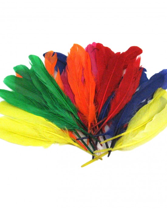 Giant Feathers 20cm Bag of Assorted