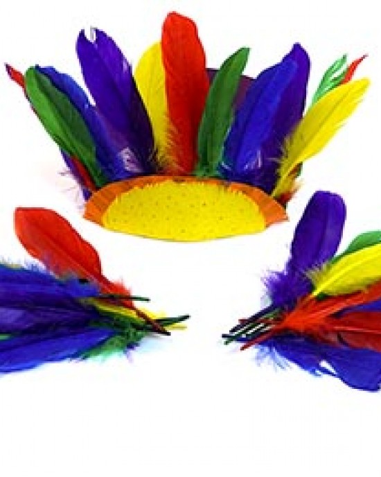 Giant Feathers 20cm Bag of Assorted