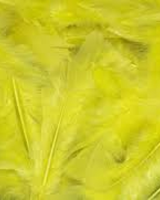 Feathers Single Colour Pack of 200
