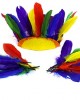 Quill Feathers  Bag of 10 Assorted