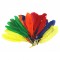 Quill Feathers Bag of 10 Assorted
