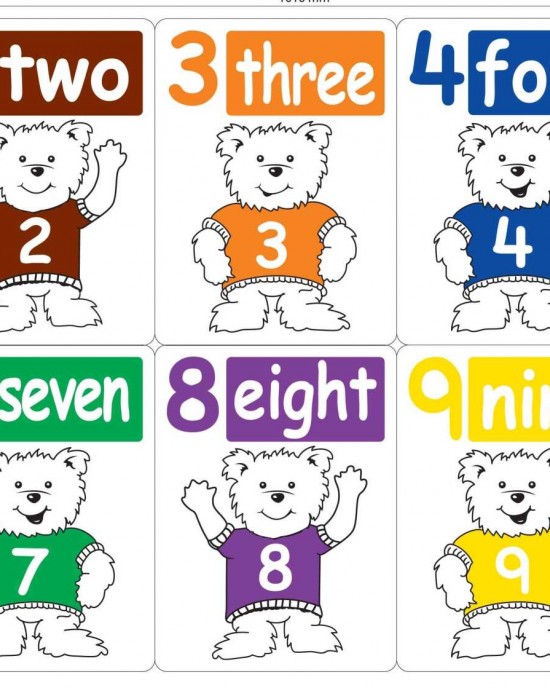 Teddy Bear Number Cards