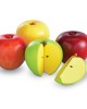 Magnetic Apple Fractions