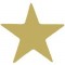 Reward Stamper Gold Star