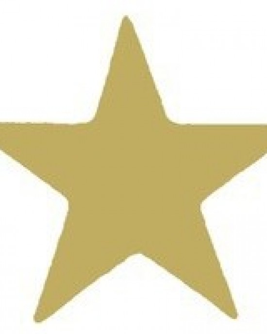 Stamper Gold Star